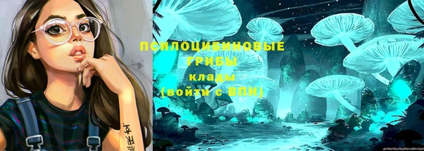 мескалин Абаза