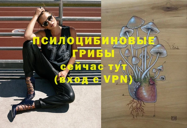 мескалин Абаза